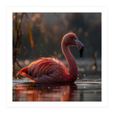 Pink Flamingo Swimming In Sunlight Water (Print Only) thumbnail