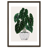 Philodendron Plant thumbnail