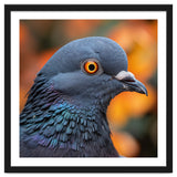 Close Up Of A Pigeon's Head And Neck thumbnail