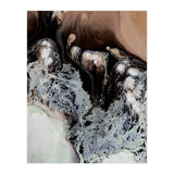 Kalahari (Print Only) thumbnail