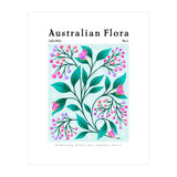 Australian Flora: Lilly Pilly (Print Only) thumbnail