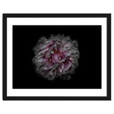 Backyard Flowers No 118 Color Version thumbnail