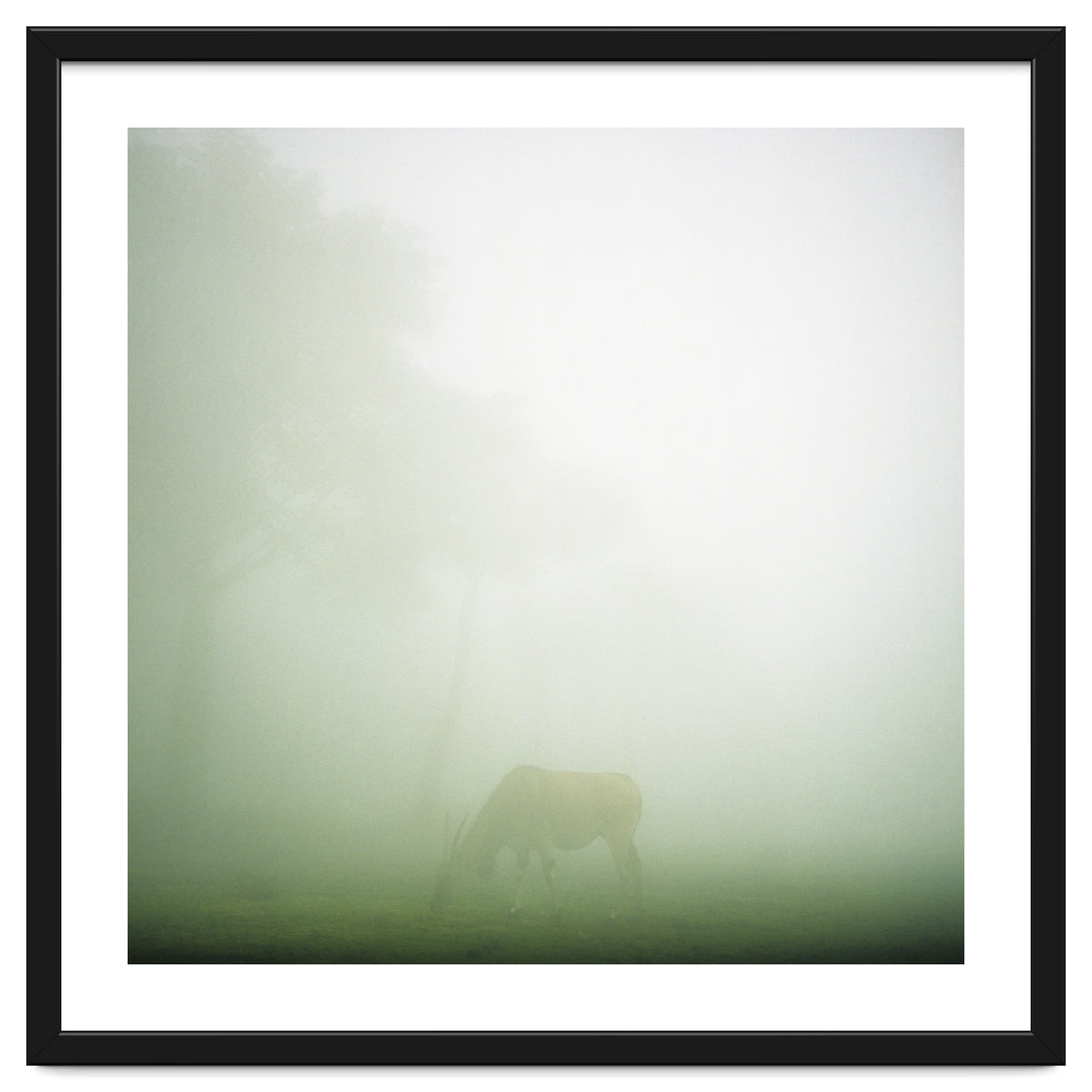 Silence of breath - 09