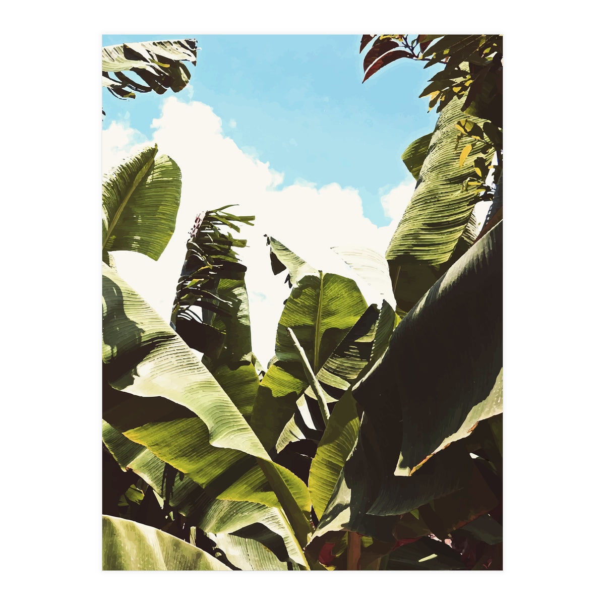 Silent Compilation (Print Only)