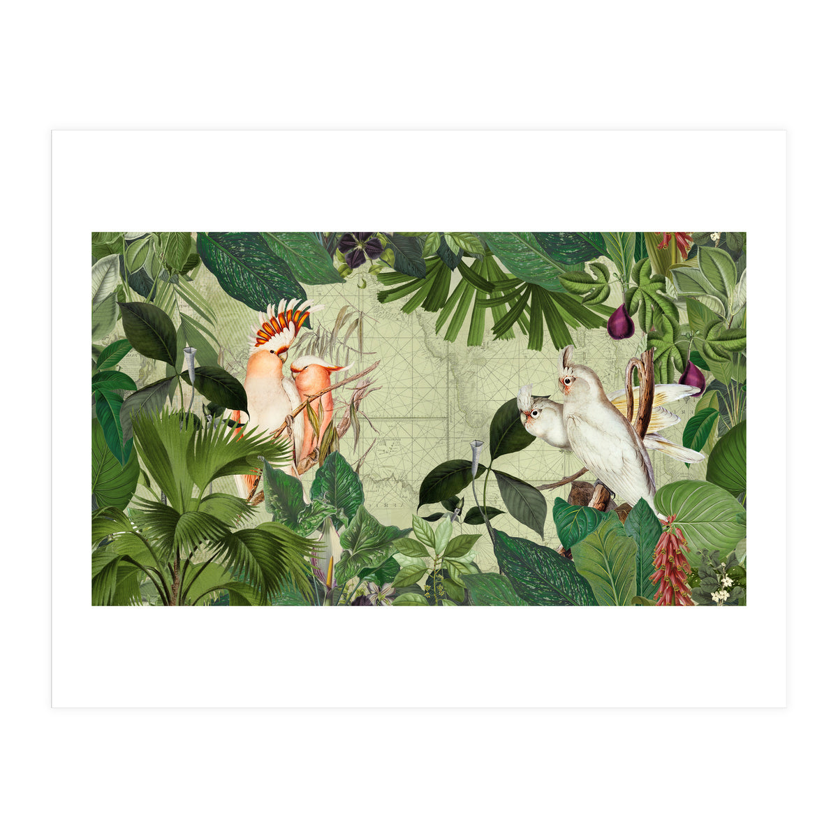 Cockatoo Island Green (Print Only)