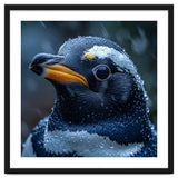 Macro view of a Penguin with Water Droplets thumbnail