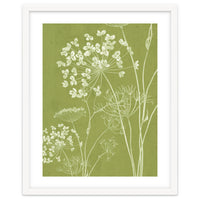 Wildflowers III
