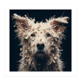 Old Dog 06 (Print Only) thumbnail