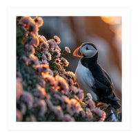 Puffin Bird On Rocks Near Pink Flowers At Sunset (Print Only)