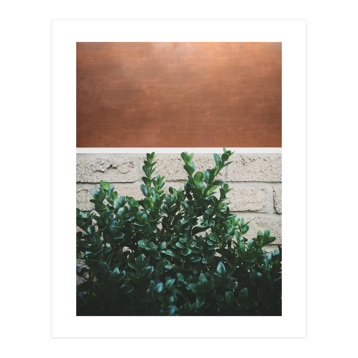 Plant + Copper (Print Only)
