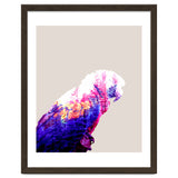 Macaw thumbnail