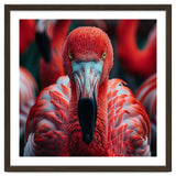 Close Up Flamingo Head With Bright Red Feathers thumbnail