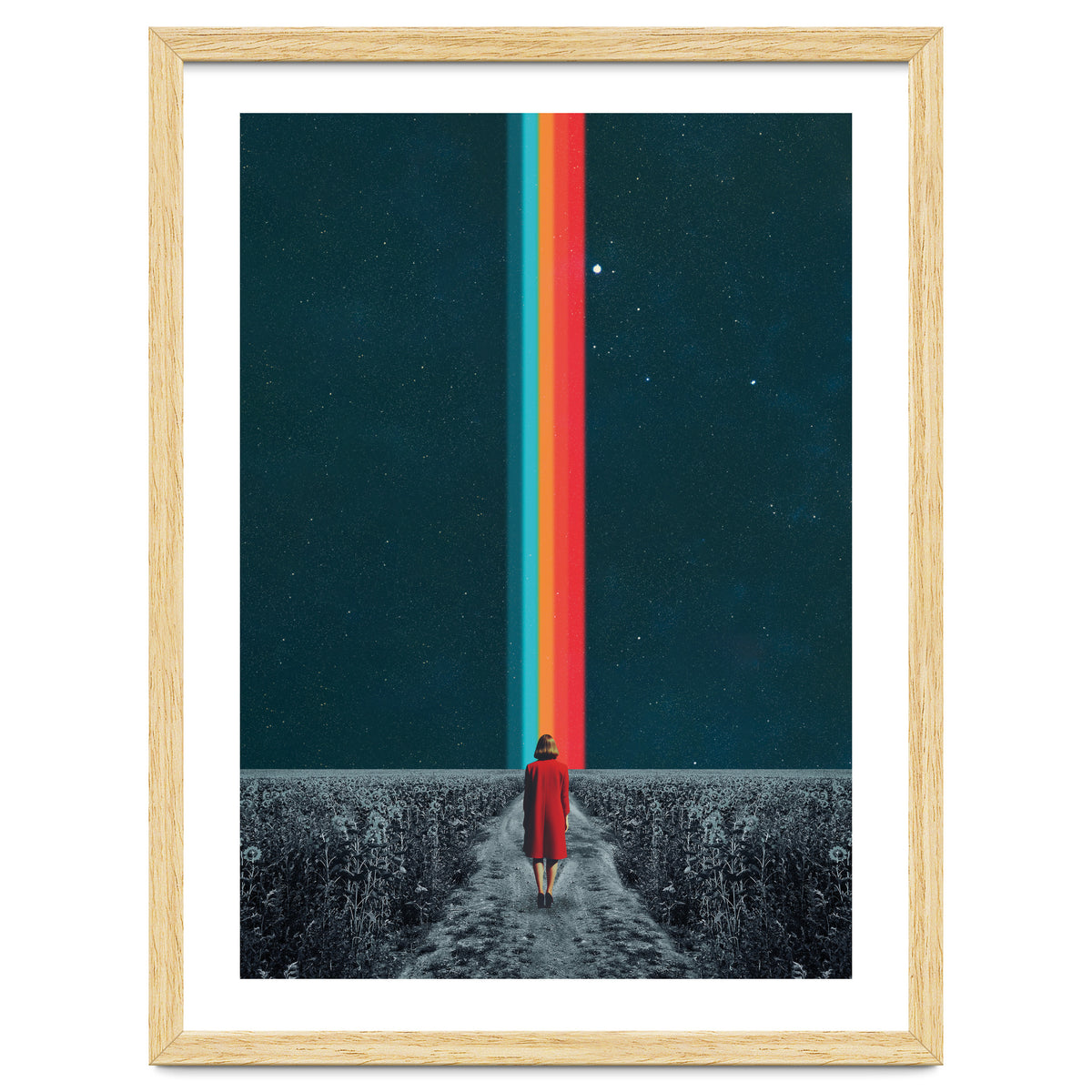 Follow Your Own Path