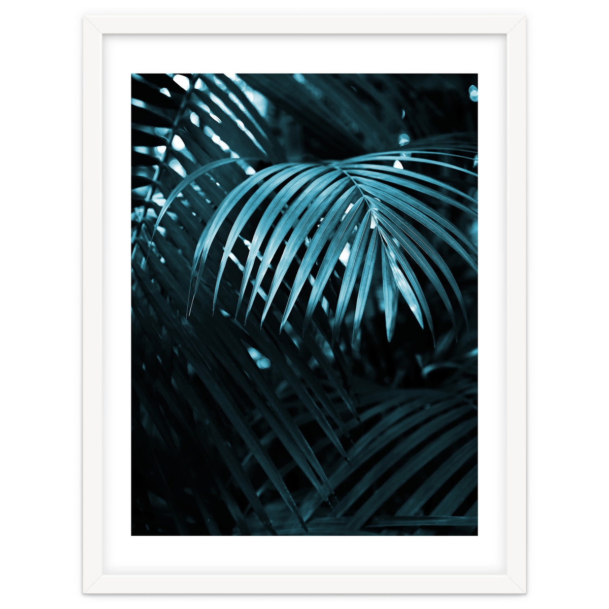 Blue Jungle Palm Ii