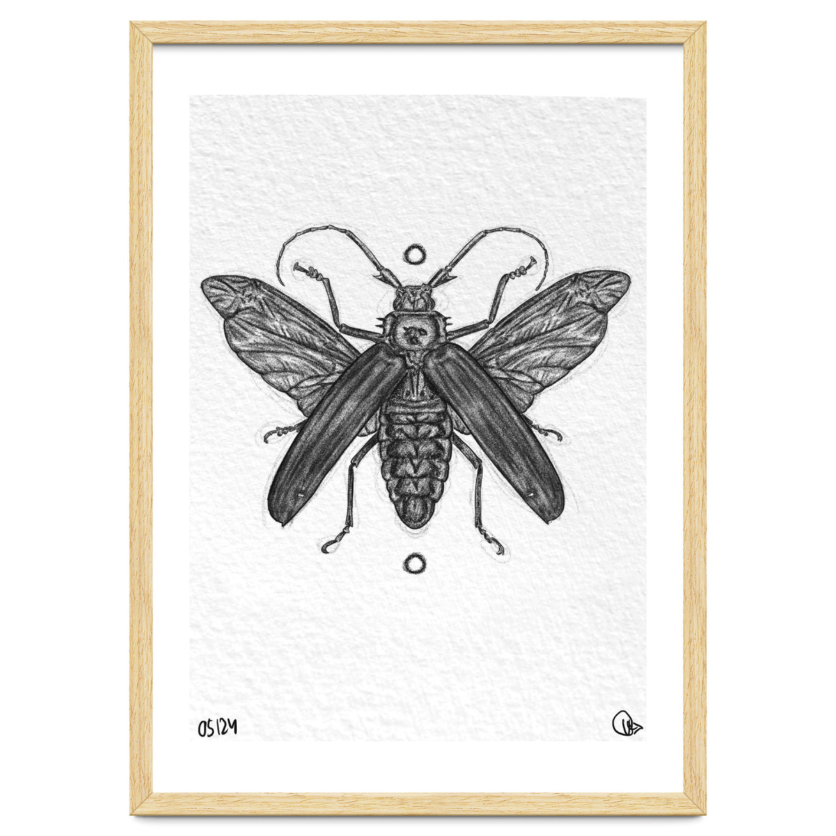 Riesen Longhorn Käfer