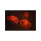At the aquarium #4 (Print Only) thumbnail