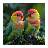 Lovebirds Perched Together On Mossy Branch (Print Only) thumbnail