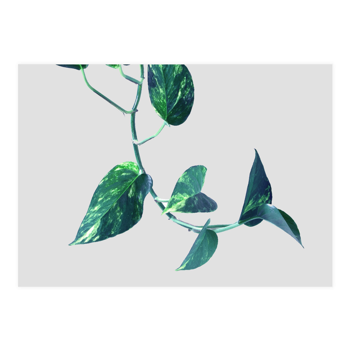 Projection & Emotion (Print Only)