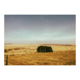 Dartmoor 2018 (Print Only) thumbnail