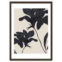 Shadowed Blooms