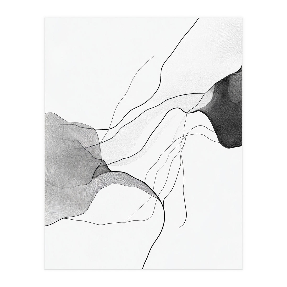Abstract Black And White Flowing Lines And Shapes On White Background (Print Only)
