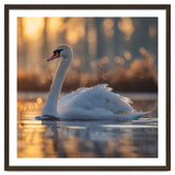 Majestic Swan Gliding On Water At Sunset thumbnail