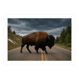 Bison on the Road , Yellowstone Wildlife Photography (Print Only) thumbnail