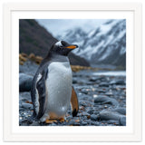 Gentoo Penguin Standing On A Rocky Shore thumbnail