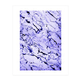 Beauty In Texture (Print Only) thumbnail