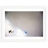 The Little Prince thumbnail