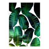Cosmic Banana Leaves (Print Only) thumbnail
