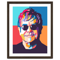 Elton John WPAP pop art