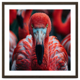 Close Up Flamingo Head With Bright Red Feathers thumbnail