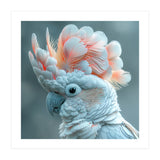 Close Up Of A White Cockatoo With Pink Crest (Print Only) thumbnail