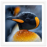 King Penguin Close Up In Snowfall thumbnail
