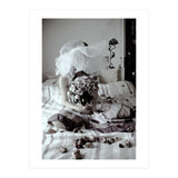 Black Roses (Print Only) thumbnail