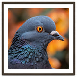 Close Up Of A Pigeon's Head And Neck thumbnail