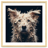 Old Dog 06 thumbnail