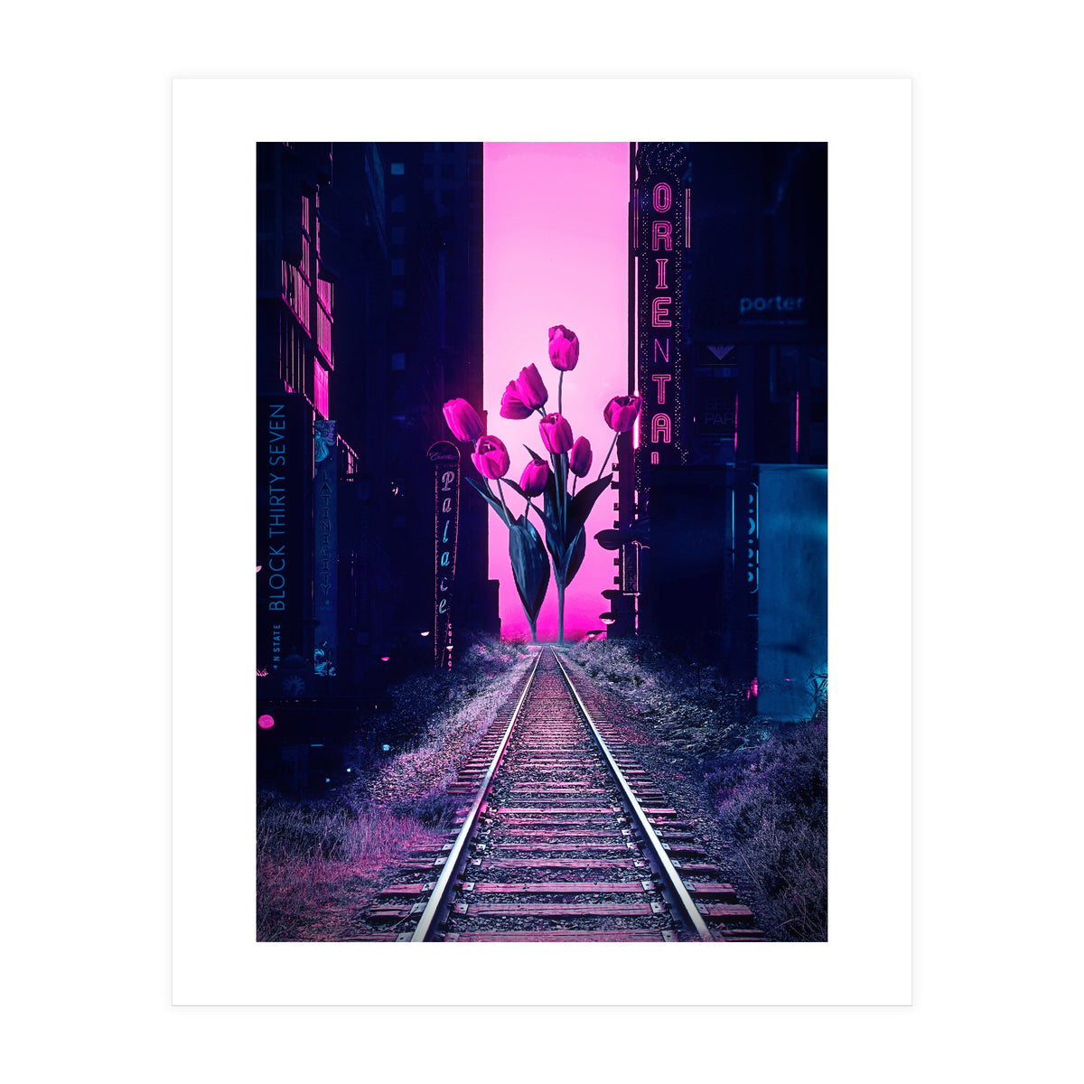 red tulips in the middle of the city (Print Only)