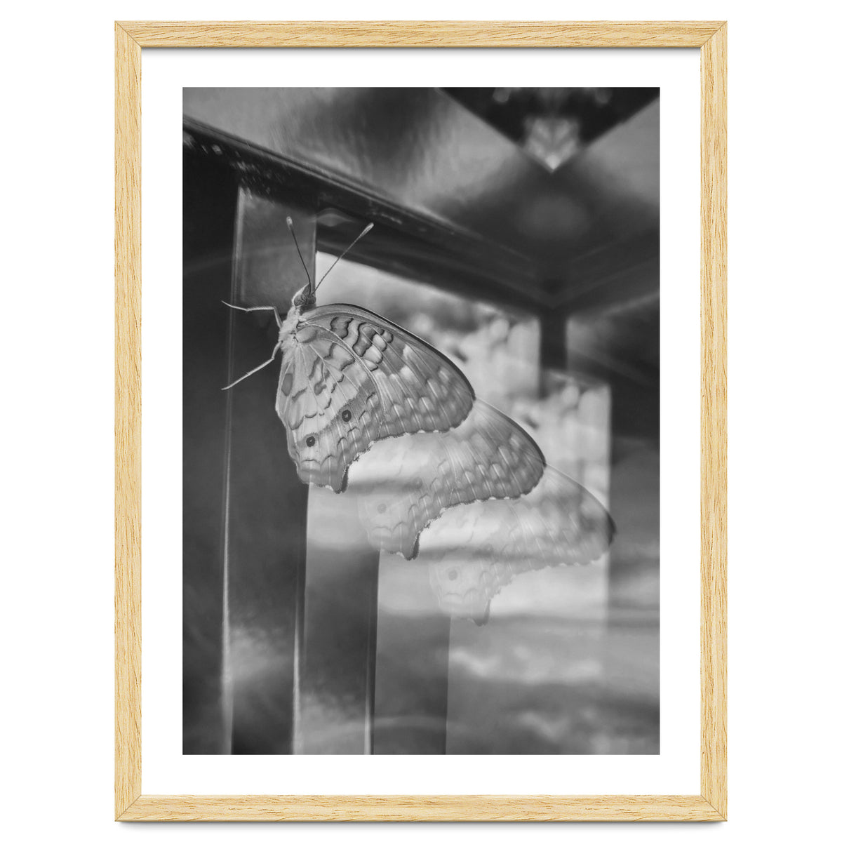 Evolving | Black & White