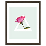 Rose thumbnail