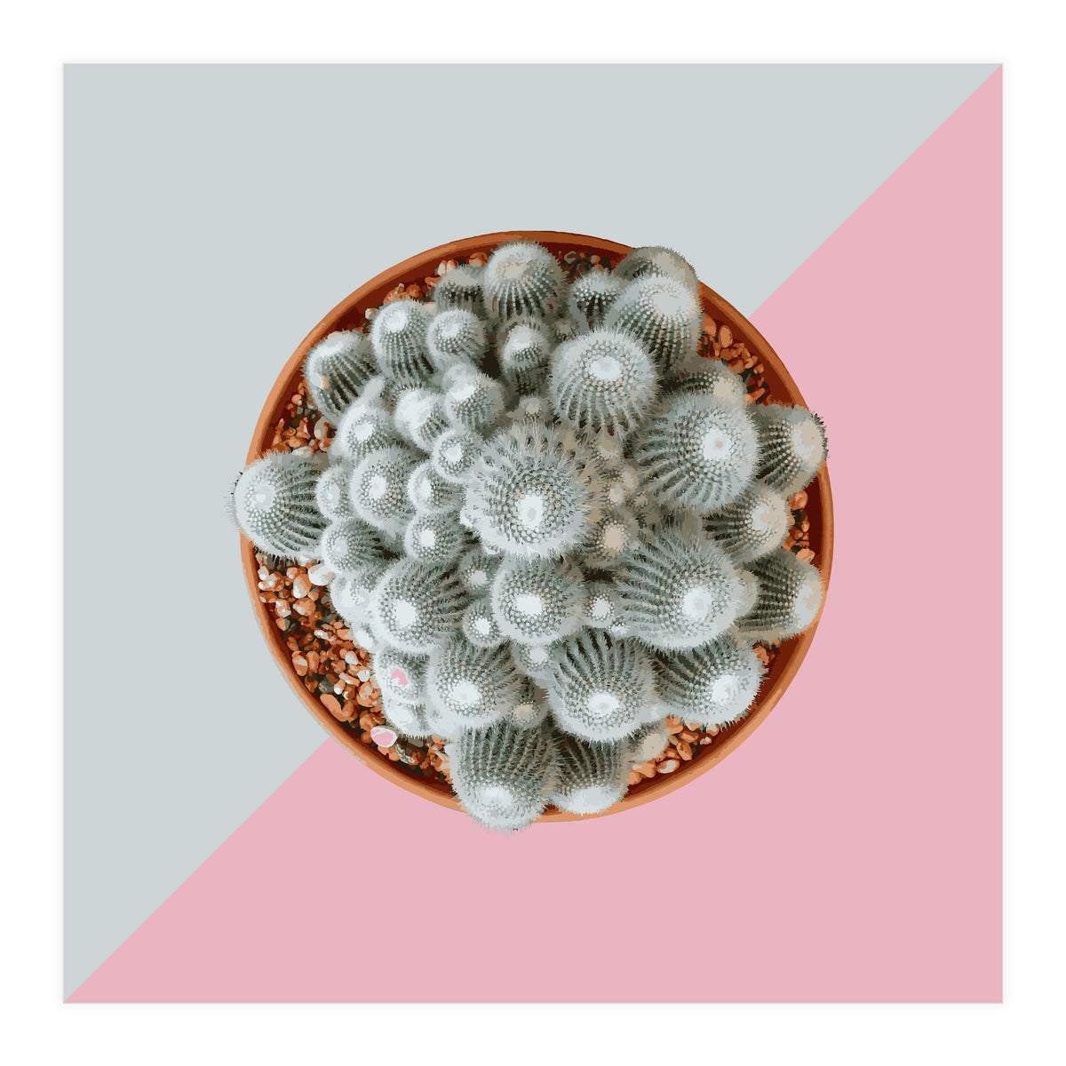 Clementine (Print Only)