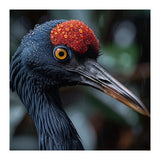 Black Crane Bird Head With Red Crown And Raindrops (Print Only) thumbnail