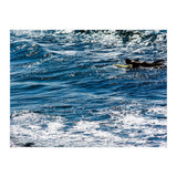 Forward (Print Only) thumbnail