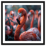Beautiful Close Up Of A Pink Flamingo Bird thumbnail