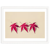 Dancing Leaves thumbnail
