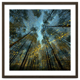Enchanted Night Forest with Glowing Fireflies thumbnail