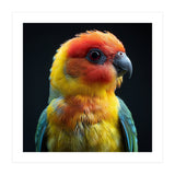 Vibrant Sun Conure Parrot Close Up Portrait (Print Only) thumbnail