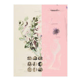 The First Plant · Mix It Up Sunday (Print Only) thumbnail