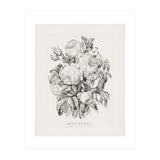 Currier & Ives – Rose of May (1870) (Print Only) thumbnail
